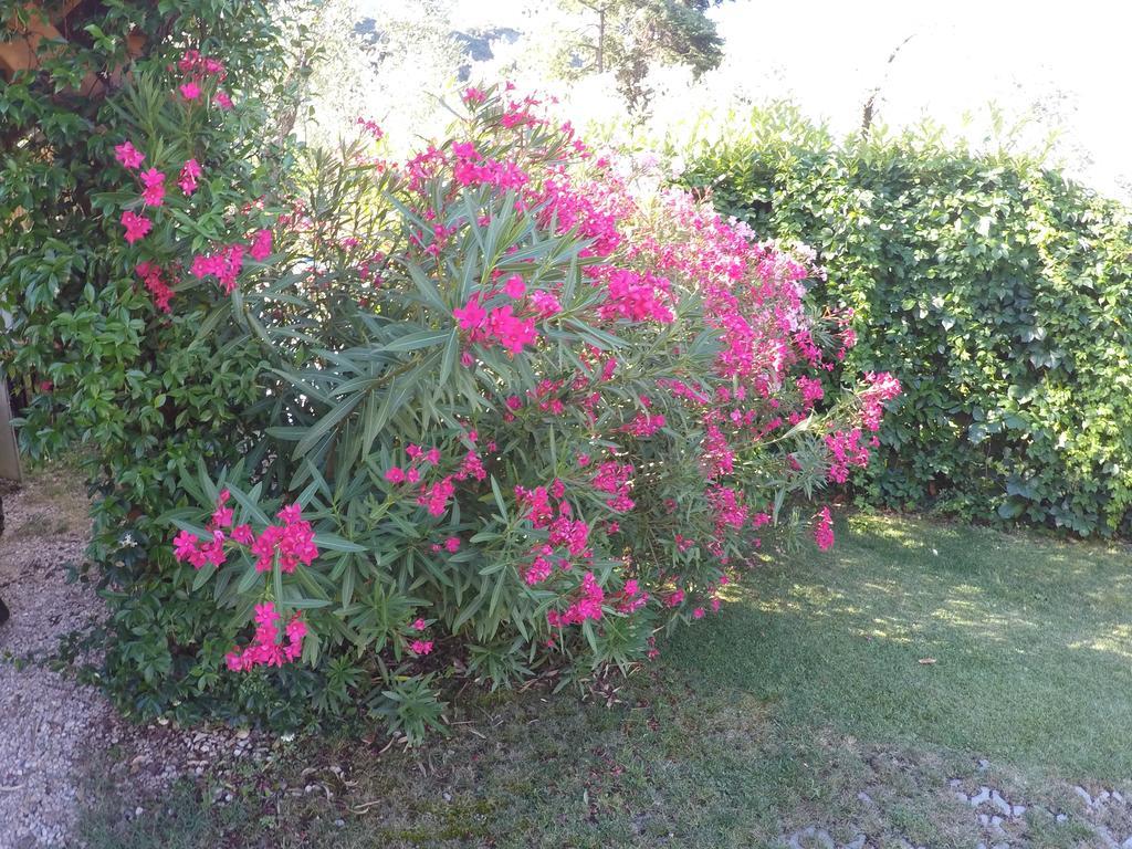 Casa Vacanza Malcesine Ngoại thất bức ảnh